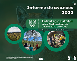 Informe de avances 2023