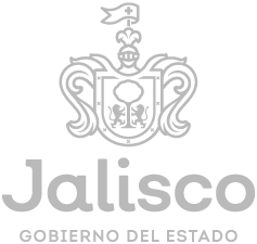 Jalisco, Gobierno del Estado